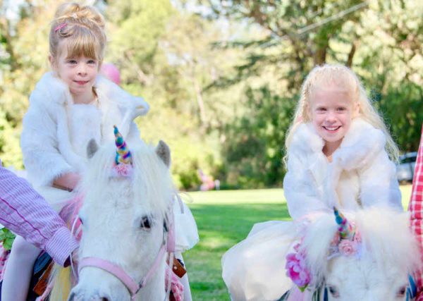 Unicorn – Twins 5th Birthdays