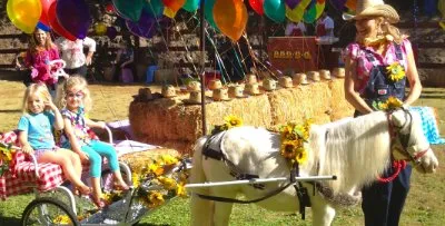 Pony Drawn Carriage