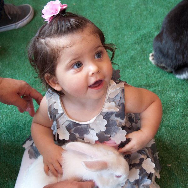 Toddler at the Bunny Zoo.