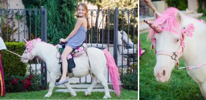 Unicorn Rides