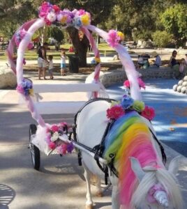 Unicorn Carriage ride.