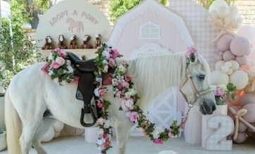 The flower unicorn