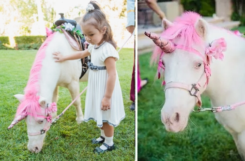 Unicorn Rides