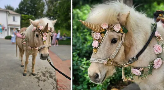 Deluxe Unicorn Party Animal