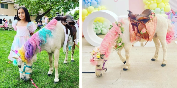 Magical Unicorn Party