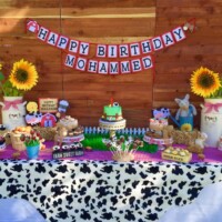 Catering Dessert Table for Farm Party