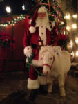 Christmas Party