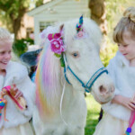 Unicorn Party