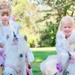 Unicorn Party
