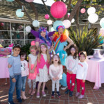 Chick Pony Party