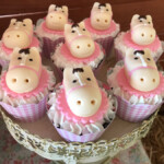 Chick Pony Party