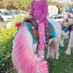 Chick Pony Party