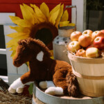 Jayden's Ranch Party
