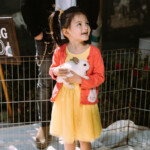 Jayden's Ranch Party