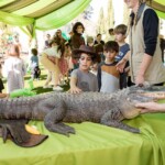 Alex's Jungle Birthday Party