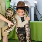 Alex's Jungle Birthday Party
