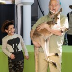 Alex's Jungle Birthday Party