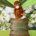 Alex's Jungle Birthday Party