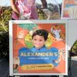 Alex's Jungle Birthday Party