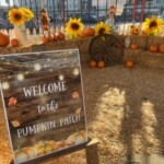 Pumpkin Patch