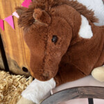 Colette's Cowgirl Birthday Party